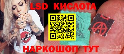 apvp Будённовск