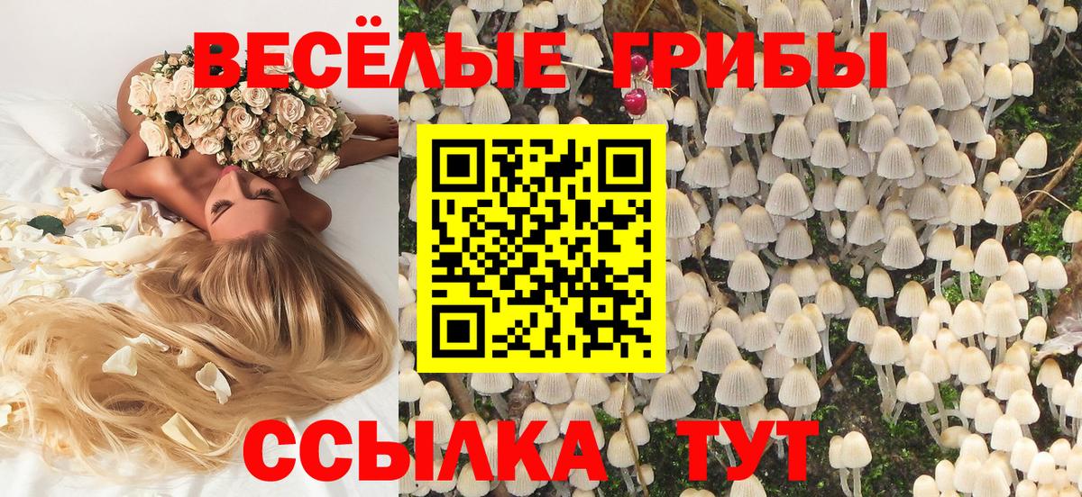 Галлюциногенные грибы Cubensis  Галлюциногенные грибы Psilocybe  Вход с VPN  Новоалександровск 