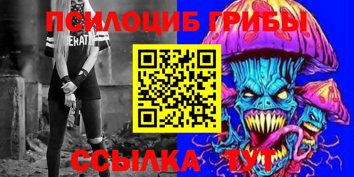 Псилоцибиновые грибы Cubensis Новоалександровск